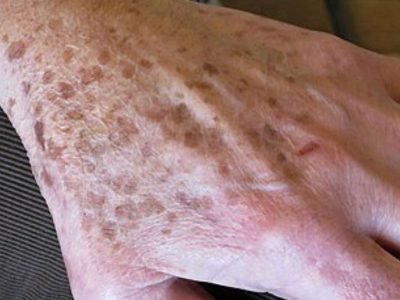 25a48378-028e-4786-bd35-8221892a5388