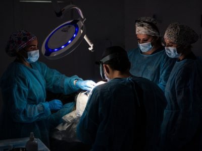 Imagen de WhatsApp 2025-04-01 a las 18.12.04_2c6a47dd